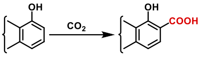 Kolbe-Schmitt Reaction